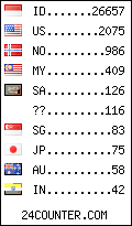visitors by country counter