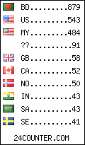 visitors by country counter