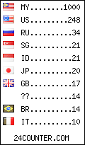 visitors by country counter