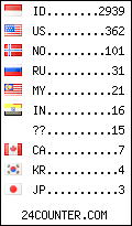 visitors by country counter