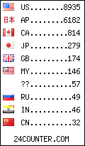 visitors by country counter