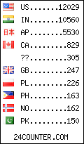 visitors by country counter