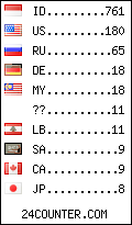 visitors by country counter