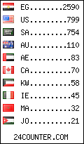 visitors by country counter