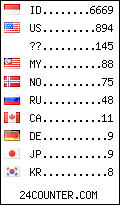 visitors by country counter