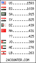visitors by country counter