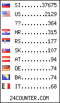 visitors by country counter