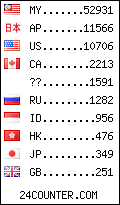 visitors by country counter