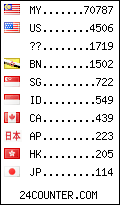 visitors by country counter