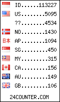 visitors by country counter