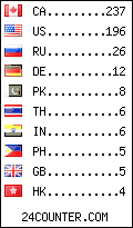 visitors by country counter