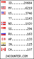 visitors by country counter