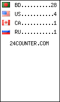 visitors by country counter