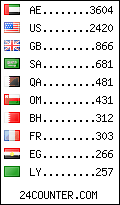 visitors by country counter