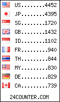 visitors by country counter