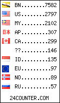 visitors by country counter