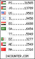 visitors by country counter