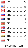 visitors by country counter