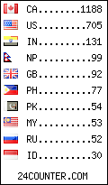 visitors by country counter