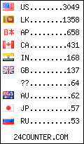 visitors by country counter