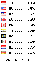 visitors by country counter