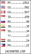 visitors by country counter