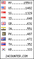 visitors by country counter