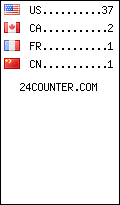 visitors by country counter