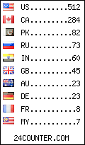 visitors by country counter