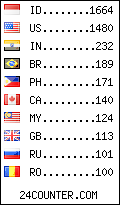 visitors by country counter