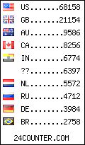 visitors by country counter