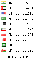 visitors by country counter