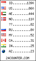 visitors by country counter