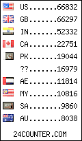 visitors by country counter