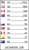 visitors by country counter