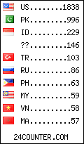 visitors by country counter
