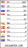 visitors by country counter