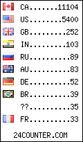 visitors by country counter