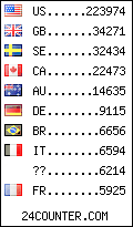 visitors by country counter