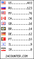 visitors by country counter