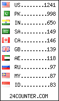 visitors by country counter