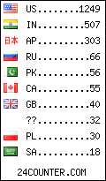 visitors by country counter