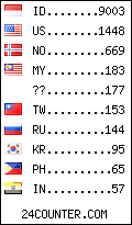 visitors by country counter