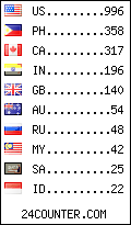 visitors by country counter