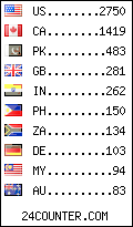 visitors by country counter