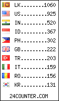 visitors by country counter
