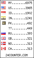 visitors by country counter