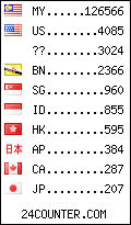 visitors by country counter