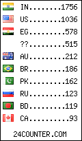 visitors by country counter