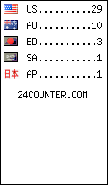 visitors by country counter